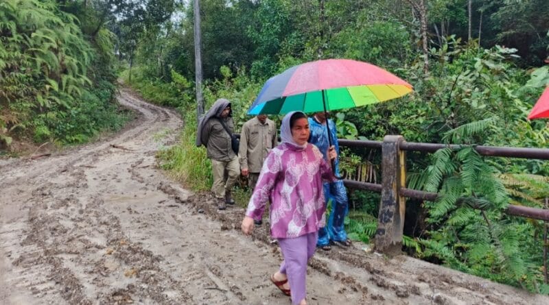 Kepala Dinas Lingkungan Hidup dan Kehutanan (LHK) Sumatera Utara, Yuliani Siregar, melihat langsung kegiatan penebangan hutan APL di Desa Sion Sibulbulon Kecamatan Parlilitan (10/4) dok. EditorPublik.com)