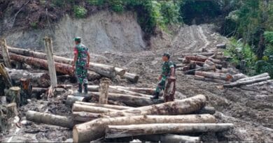 Penebangan kayu di lahan Apl di Kecamatan Parlilitan dengan alasan untuk pembukaan lahan pertanian baru. (dok. EditorPublik.com)