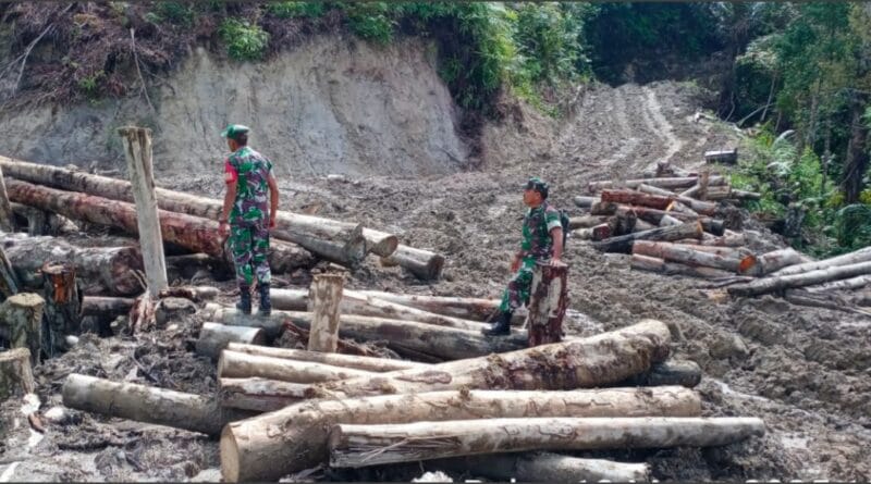 Penebangan kayu di lahan Apl di Kecamatan Parlilitan dengan alasan untuk pembukaan lahan pertanian baru. (dok. EditorPublik.com)