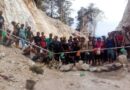 Marak Pembalakan Hutan, Akses SIPUHH di Seluruh Indonesia Dihentikan