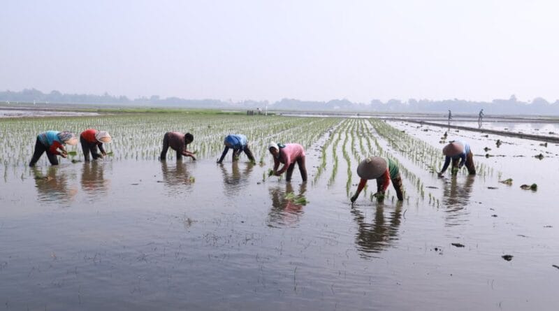 Hari Tani Nasional 2025, Bupati Bekasi Tetapkan Perda LP2B
