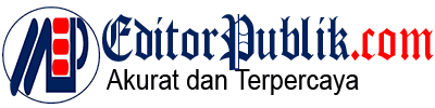 EditorPublik White Strokes
