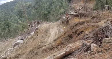 Menhut Raja Juli Antoni Tegaskan Pengawasan Ketat PPKH untuk Jaga Kelestarian Hutan