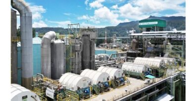 PT Toba Pulp Lestari Tbk (TPL)