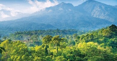 Mengakhiri Pasung Legalisme: Mengembalikan Kedaulatan Hutan Adat