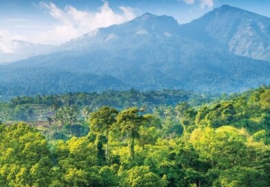 Mengakhiri Pasung Legalisme: Mengembalikan Kedaulatan Hutan Adat