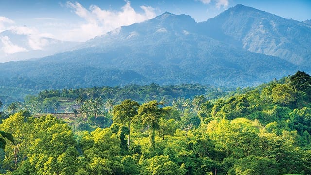 Mengakhiri Pasung Legalisme: Mengembalikan Kedaulatan Hutan Adat